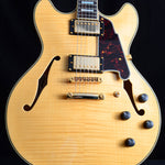 Used D'Angelico Excel DC Standard